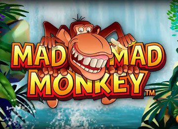 Mad Mad Monkey